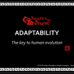 45 – ADAPTABILITY