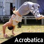 Martial arts explained – Acrobatica