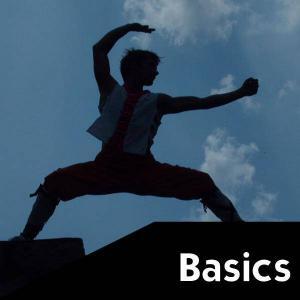 Martial Arts Basics