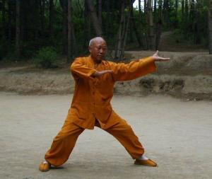 Tai Ji Quan Master