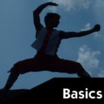 Basics Martial Arts Explained piccolo 200x200px