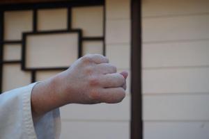 Gyaku Tsuki Reverse Punch - pictures of Karate fists types