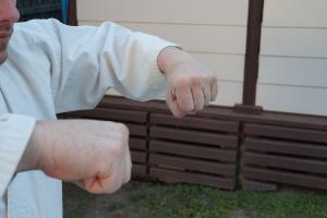 Heiko Tsuki Parallel Punch - pictures of Karate fists types