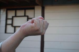 Kentsui Hammer Fist - pictures of Karate fists types