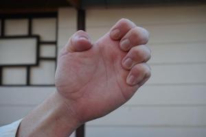 Kumade Bear Hand - pictures of Karate fists types