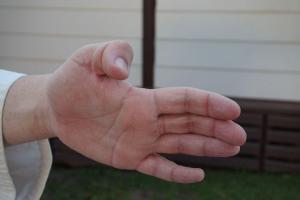 Nukite Spear Hand - pictures of Karate fists types