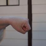 Tsuki punch 1 – pictures of Karate fists types