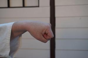 Tsuki punch- pictures of Karate fists types