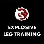 Explosive Leg Training – Martial Arts Explained