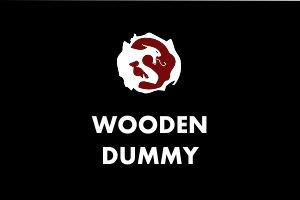 Wooden Dummy - Martial Arts Explained