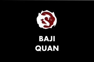 baji quan - Martial Arts Explained